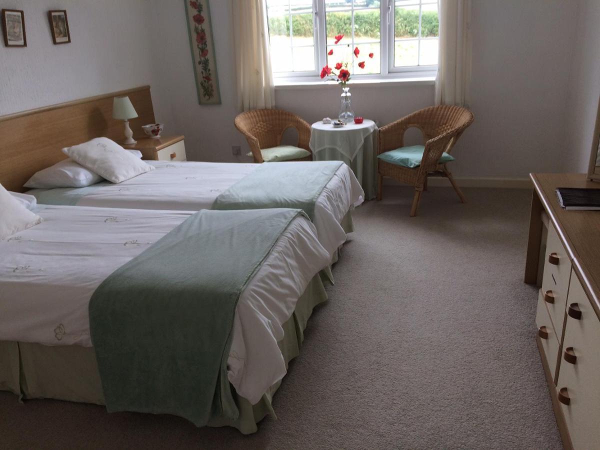 The Grange Accommodation, Waye Farm, Ermington, Devon Holbeton Ngoại thất bức ảnh