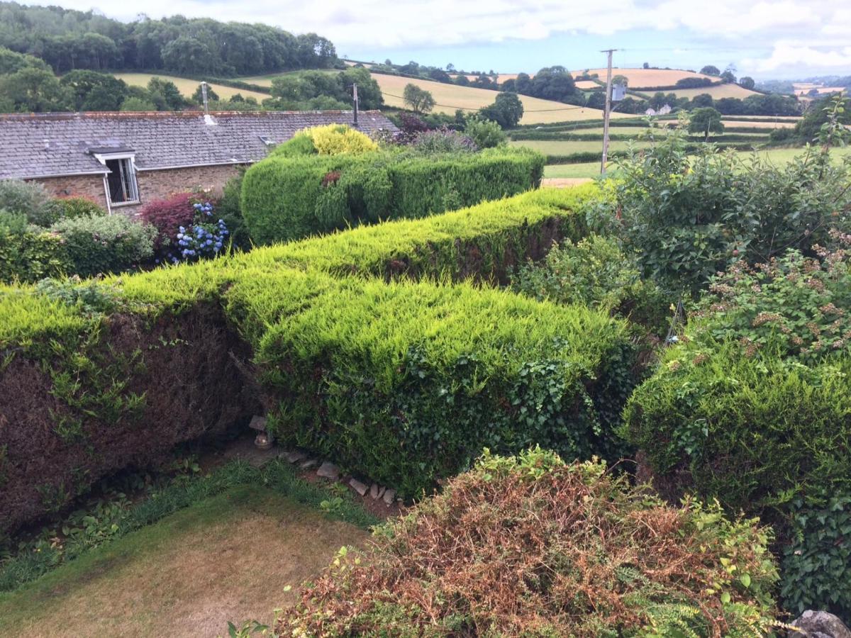The Grange Accommodation, Waye Farm, Ermington, Devon Holbeton Ngoại thất bức ảnh